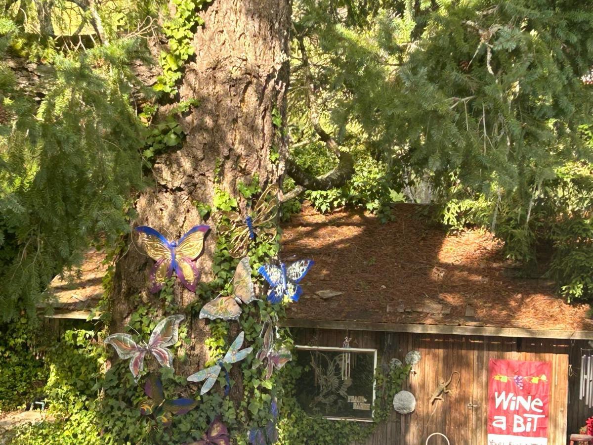 Bed and Breakfast Foothill House Калистога Экстерьер фото